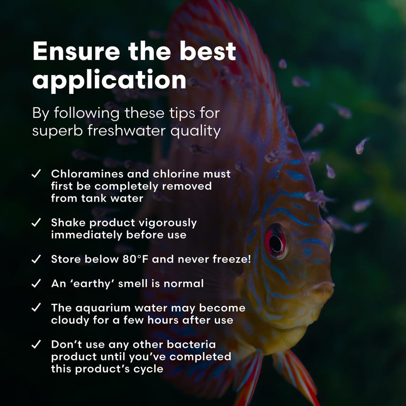 Brightwell Aquatics MicroBacter Start XLF - Concentrated Freshwater Nitrifying Bacteria - Quick Start Fish Tank Starter, Lift Microbe Levels & Water Filtering - Aquarium Water Treatments, 4.22 fl oz 125-ml