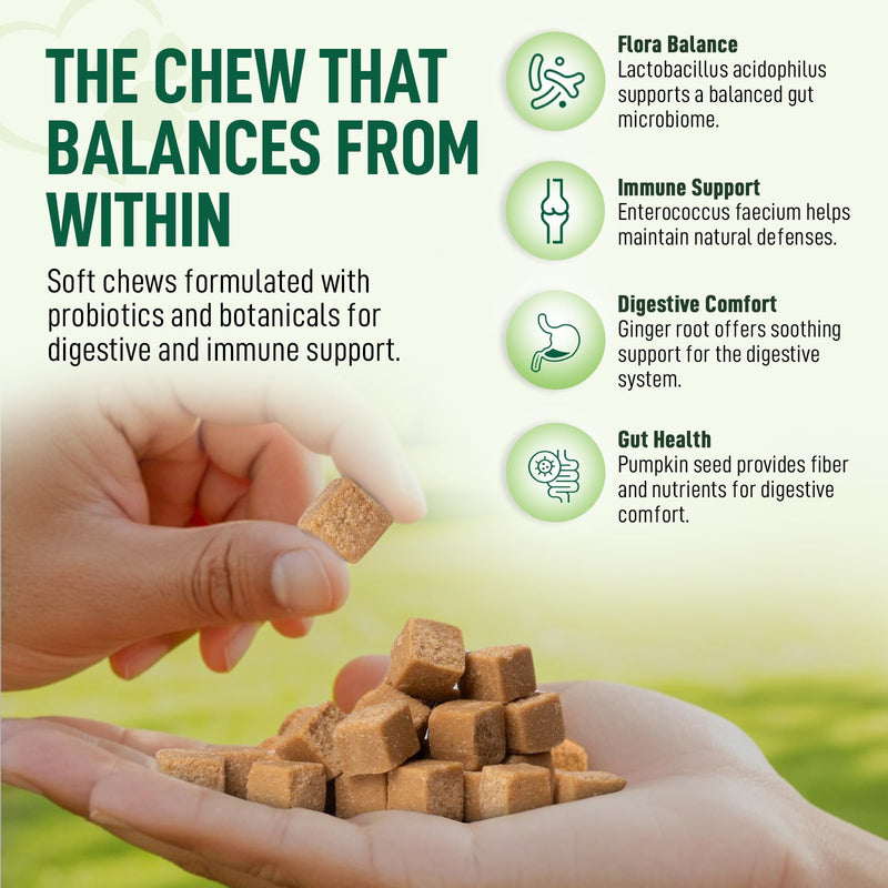 Probiotics for Dogs – 120 Soft Chews, Bacon Flavor | Digestive Enzymes, Gut Health & Immune Support with Pumpkin Seed & Ginger | for All Breeds