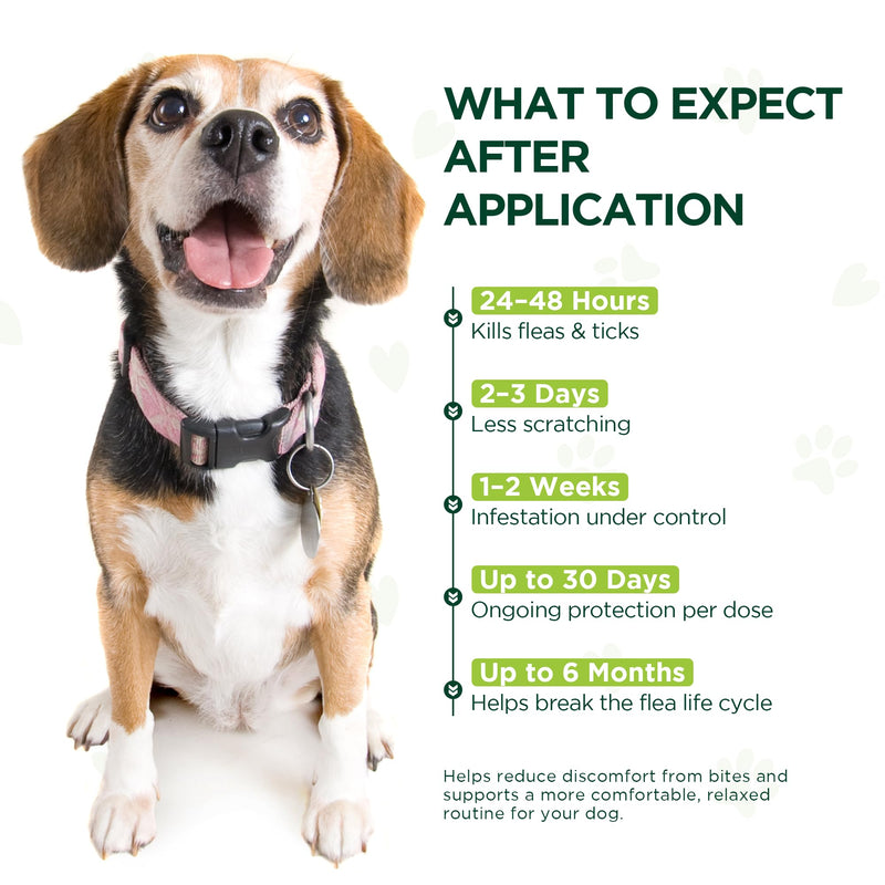 Flea and Tick Prevention for Dogs, 6 Doses Topical Flea Treatment, Helps Control Fleas, Ticks and Lice, for Medium Dogs 23–44 lbs, Waterproof, Fast Acting
