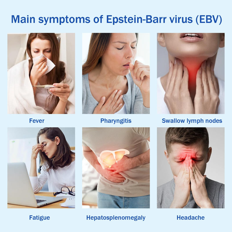 Epstein Barr (EBV) Test at-Home Testing，Highly Accurate, Easy to Read and use. Against The Epstein-Barr Virus’s VCA and EBNA，Quick Results Within 15 Minutes.2 Tests
