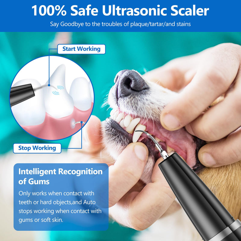 Dog Plaque Remover for Teeth,Pet Ultrasonic Tooth Cleaner,Teeth Cleaning Kit -Tartar Remover for Teeth Stains for Dogs and Cats (Black) Black - PawsPlanet Australia