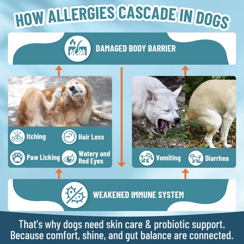 VICSOM Cat & Dog Allergy Relief Bundle – Itchy Skin, Immune Support, Seasonal Allergy & Gut Health Support with Probiotics, 60ml & 200 Chews