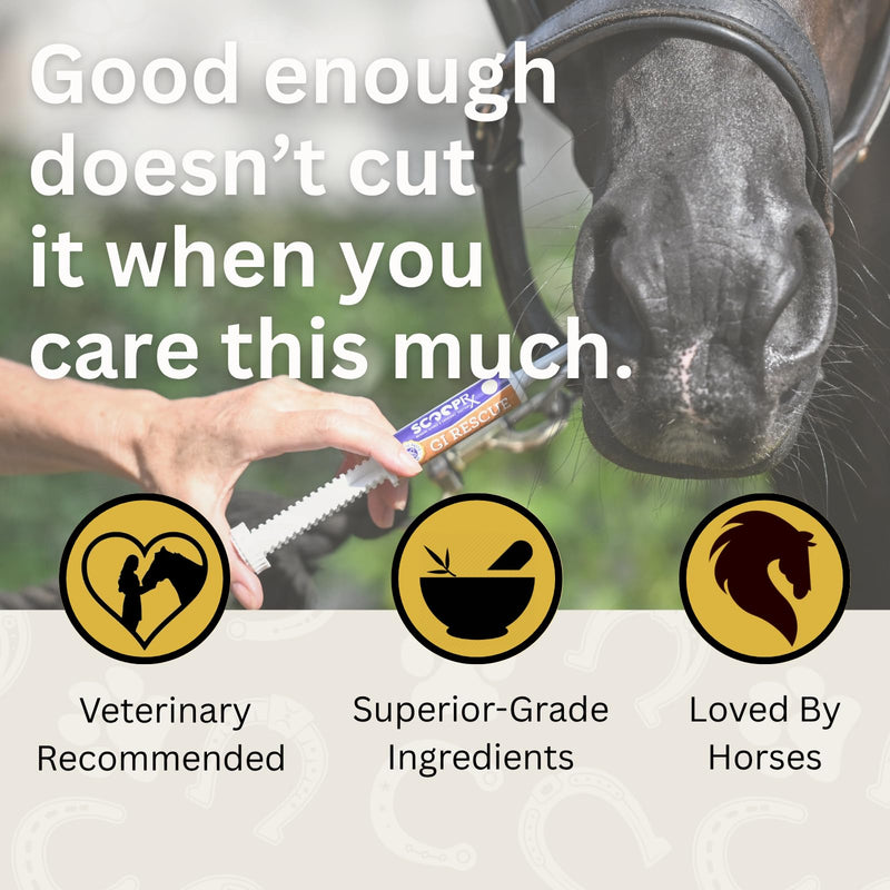 Horse Digestive Support System | Emergency & Daily GI Balance | Probiotic Prebiotic Formula | for Colic Gas Diarrhea & Stress | No Fillers No Sweeteners | ScoopRx USA Made |Paste 15ml (Pack of 1) Pack of 1 GI Rescue Paste