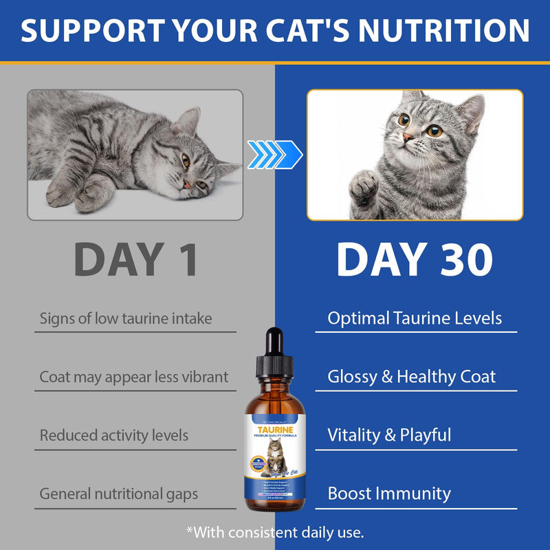 Taurine Supplement for Cats Liquid Drops – Supports Heart, Vision Health – 60mL Highly Absorbable for All Cats 12+ Weeks