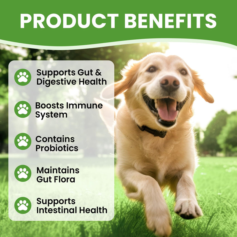 Glucosamine for Dogs Hip and Joint Supplement Chews & Probiotics for Dogs - Dog Probiotics with 5 Enzymes & 4 Prebiotics
