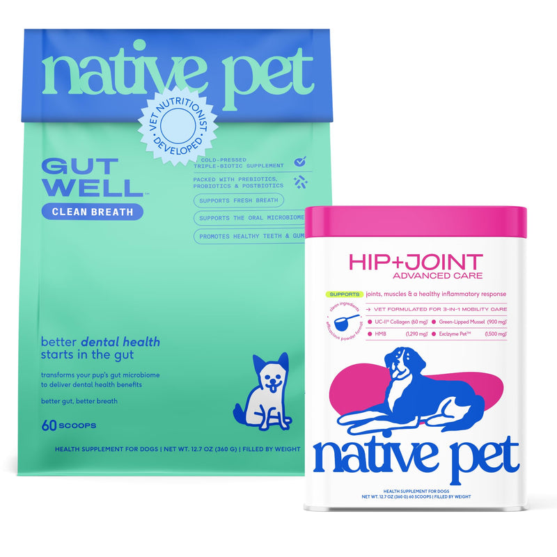 Native Pet Oral & Joint Health Bundle: Hip & Joint Supplement for Dogs - Supports Cartilage, Muscles & Anti-Inflammatory & GutWell Clean Breath - Dog Breath Freshener - 60 Scoops