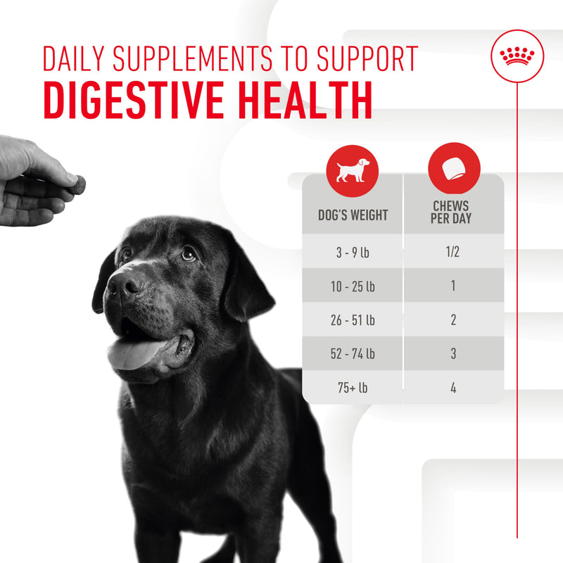 Royal Canin Digestive Dog Supplement Soft Chews for Adult Dogs, 60 Count Adult: Digestion 8.47 Oz