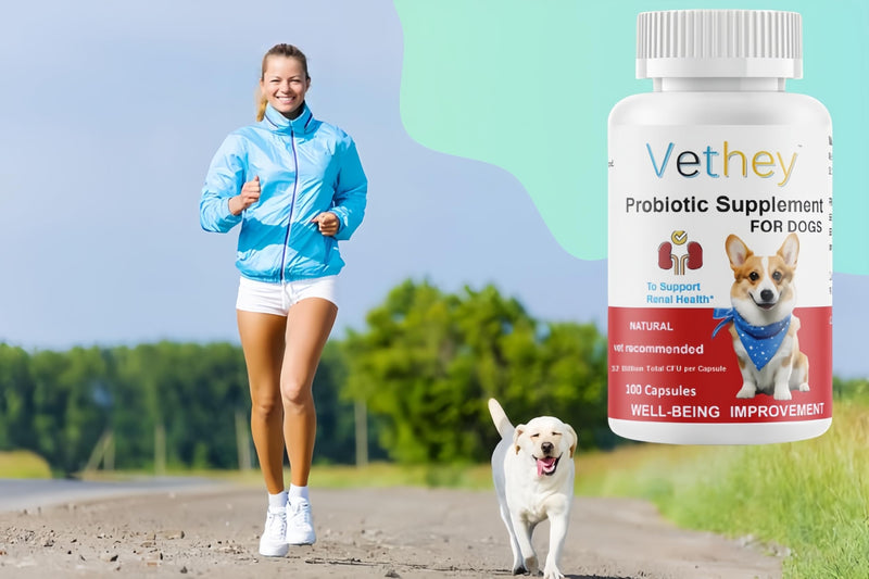 Probiotic Supplement for Dogs,Kidney Health Supplement for Dogs & Cats - NO Refrigeration Required - Help Support Kidney Function & Manage Renal Toxins - 32 Billion CFU, 100 Capsules