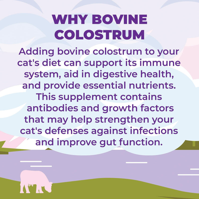 Zenapet Cat Colostrum Plus Superfood Supplement, 240 Day Supply Bovine Colostrum Powder, Cat Probiotic for Immune Support, Digestive Health, Allergy Relief, Joint Support, and Skin/Coat Health - PawsPlanet Australia