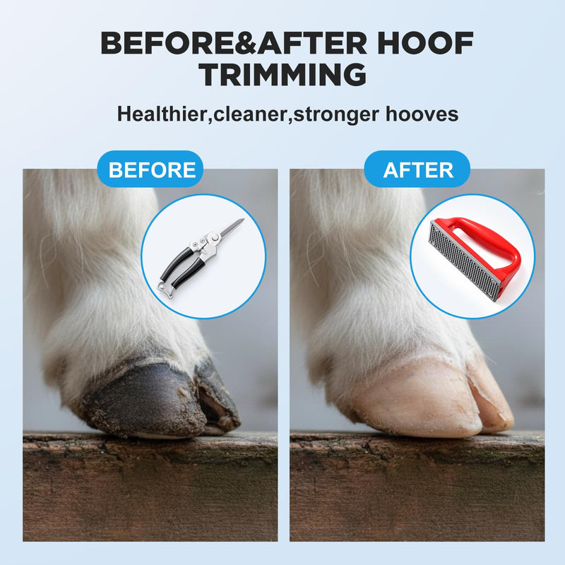 Goat Hoof Trimmers and Rasp Kit, Hoof Trimmers for Goats and Sheep Trimming Cutting and Smoothing, Farrier Supplies for Foals, Sheep, Ponies Donkeys, Garden Cutting Tool