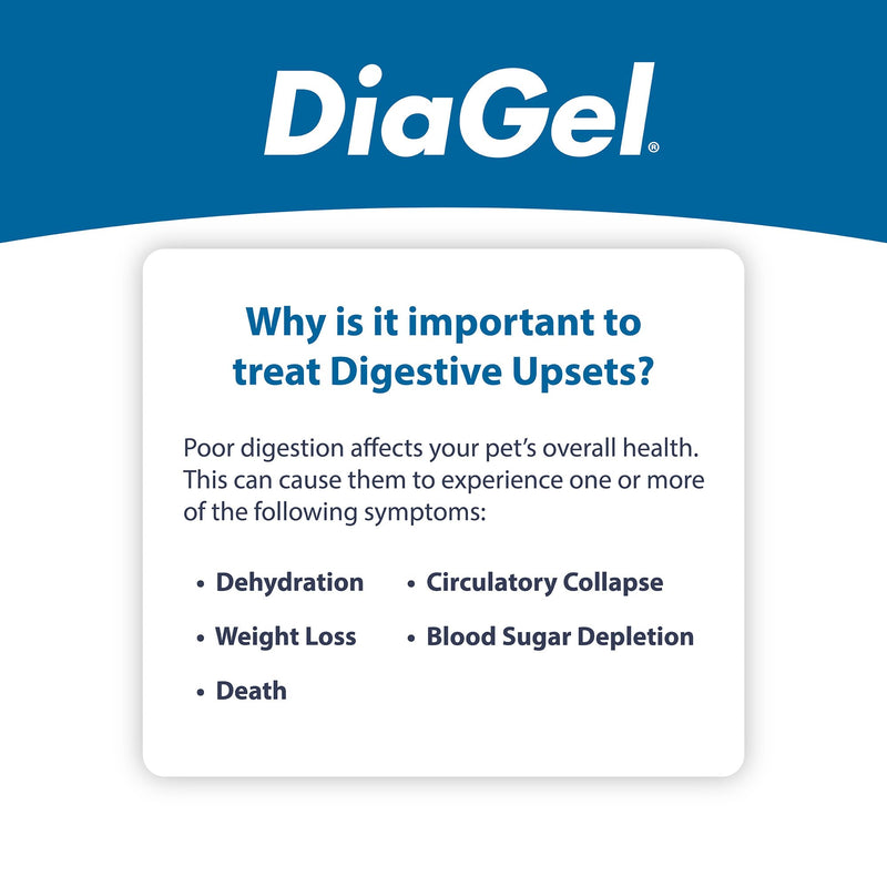 DiaGel for Large Dogs (61+ lbs.) - Orally Administered Gel for Occasional Loose Stools and Digestive Upset - Natural Pet Products - Van Beek Natural Science
