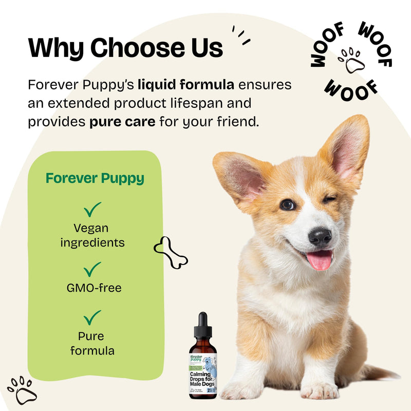 Calming Drops for Male Dogs - Pure Ashwagandha & Passion Flower Extract for Composure - Liquid Relaxing & Mood Support Supplement for Dogs of All Breeds & Sizes - 2 oz 2 fl oz - PawsPlanet Australia