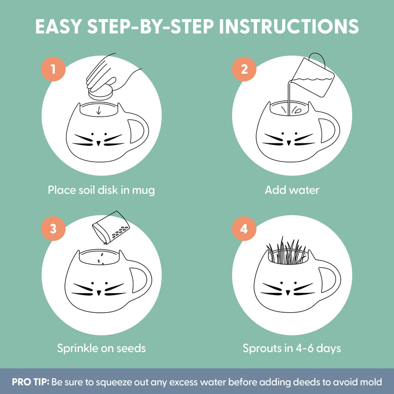 The Cat Ladies Organic Cat Grass for Indoor Cats - Growing Kit with Organic Seed Mix, Soil and White Cat Planter. Natural Hairball Control and Digestion Remedy, Cat Gifts - PawsPlanet Australia