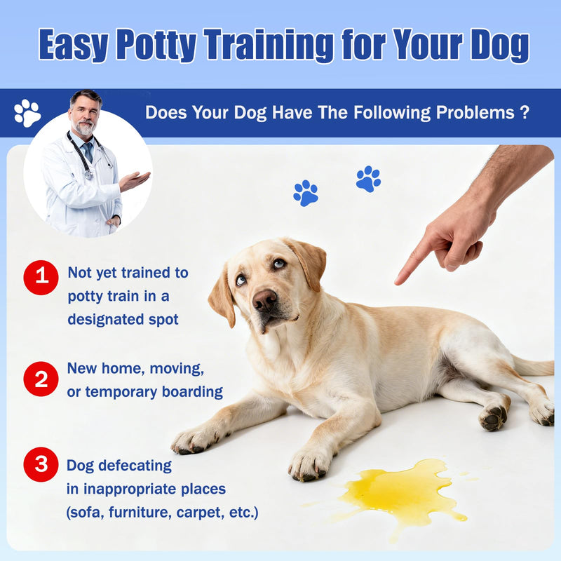 QHZ Potty Training Spray for Dogs – Indoor & Outdoor Use Puppy Toilet Training Aid to Encourage Proper Bathroom Behavior, Helps Stop Accidents & Build Good Habits, 100ML