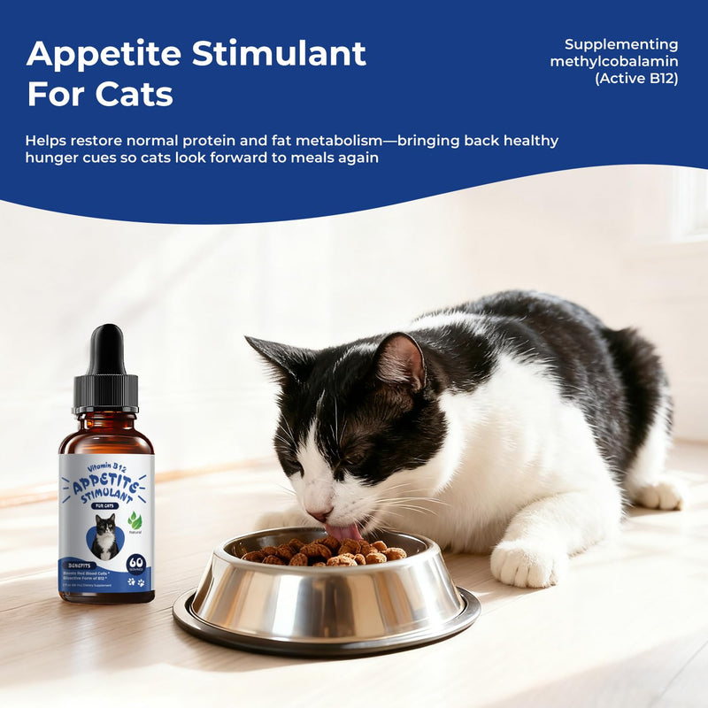Appetite Stimulant for Cats – Liquid Vitamin B12 Drops, Methylcobalamin(Methyl B12) Cat Supplement, Boosts Appetite, Energy, Mood, Recovery - 2 fl oz (60ml)