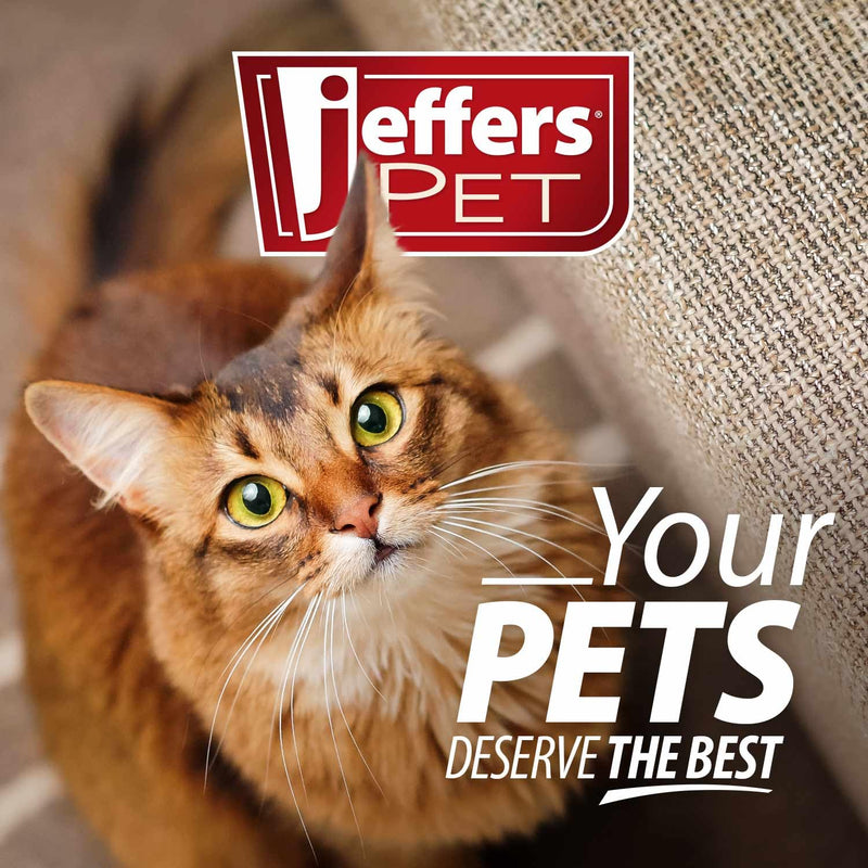 Jeffers Belly Buddy Cat Probiotic Powder Packets, 30 Count - Veterinary Formulated, Four Probiotic Strains & Vitamins for Gut Health, Diarrhea & Digestive Balance, Chicken Liver Flavor, USA Made For Cats 30 ct