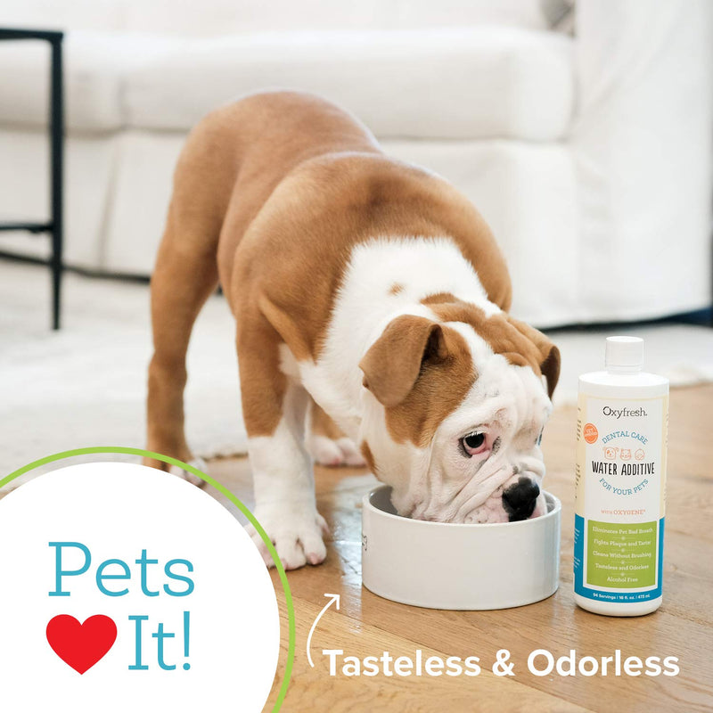 Oxyfresh Premium Pet Dental Care Solution Pet Water Additive: Best Way to Eliminate Bad Dog Breath and Cat Breath - Fights Tartar and Plaque - So Easy, Just Add to Water. Best Seller (16 oz) - PawsPlanet Australia