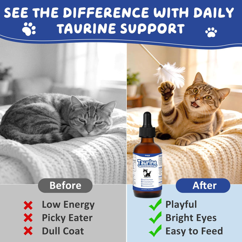 Taurine Supplement for Cats, Taurine Liquid Drops for Heart, Vision & Immune Support, Easy-to-Mix Daily Formula for Kittens, Senior Cats & Picky Eaters, 2 fl oz Natural Feline Nutrition