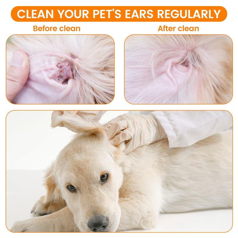 200 PCS Large Cotton Swabs in Storage Box - Dog Ear Cleaning Swabs, 6 inch Dog Ear Swab with Bamboo Handle - Big Cotton Swabs Soft and Thick, Extra Large Cotton Swabs Specially Designed for Pet Care 200PCS - PawsPlanet Australia