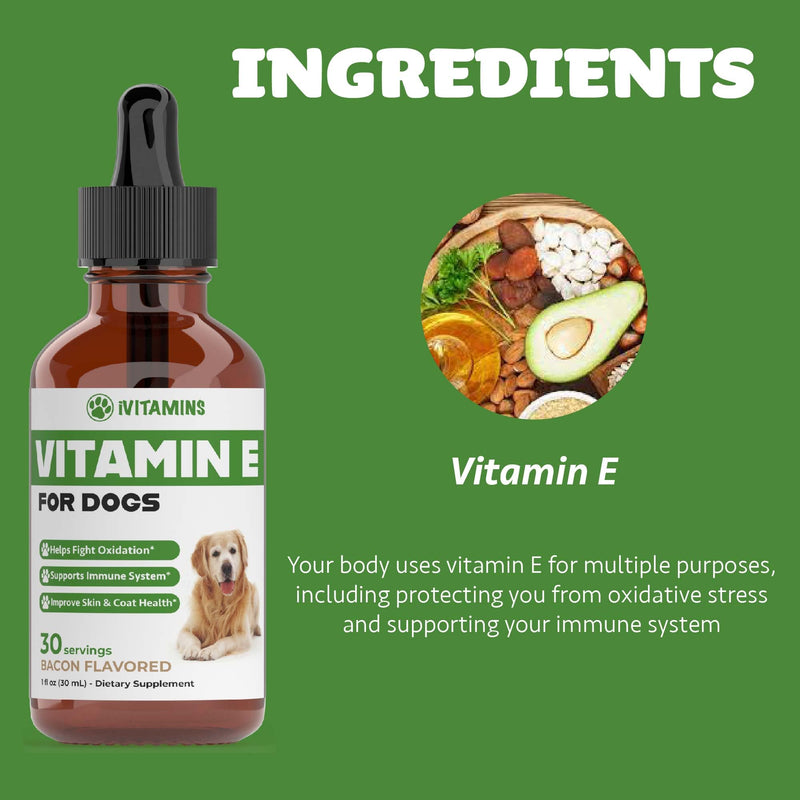 Vitamin E for Dogs | Vitamin E Dog | Vitamin E for Dog | Dog Vitamins E | Vitamin E Canine | Vitamin E Supplement for Dogs | Vitamin E Oil Dog | Dog Vitamins | Dog Immune Support | 1 fl oz - PawsPlanet Australia