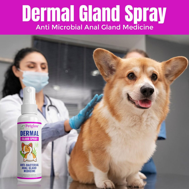 Petglow Anal Gland Medicine, Anal Cleaning for Dogs, Anal Gland Support, Pet Grooming Spray, Treats and Prevents Dog Anal Gland Infection, Feline Anal Gland Relief Hygiene Spray - 4 fl oz