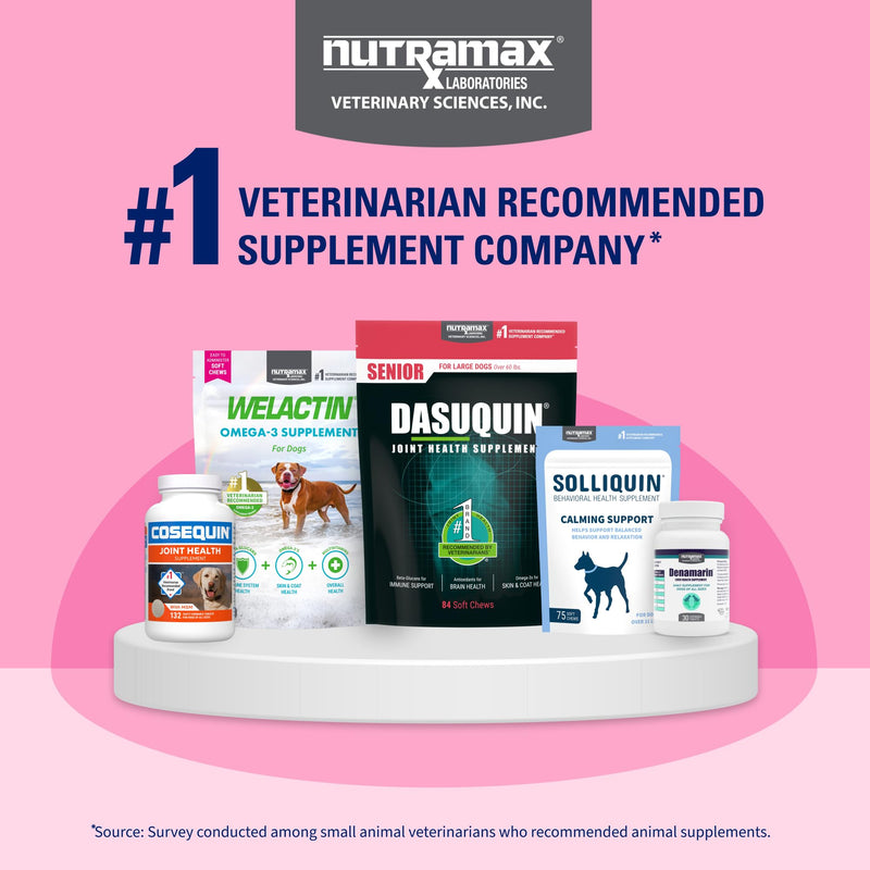 Nutramax Proviable Probiotics for Small Dogs and Cats, Diarrhea Support Kit, Digestive Health Supplement with Multiple Strains of Bacteria, Plus Prebiotics, Kaolin and Pectin, 15 ml Paste and 10 Capsules Small Dog/Cat (Under 20 lbs) - 15 ml (Pack of 10)