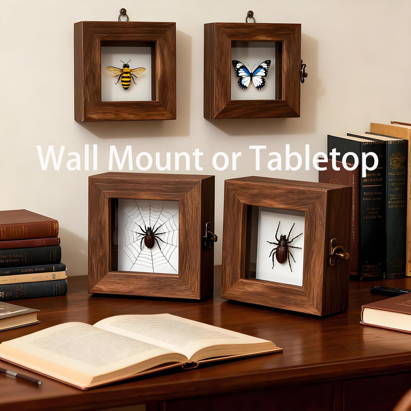 Insect Pinning Kits - Includes 2 Wooden Insect Display Cases, 5 EVA Foam Spreading Boards, Coordinate Paper, Wings Pressing Paper, Insect Pins - Complete Bug Pinning Kit for Beginners