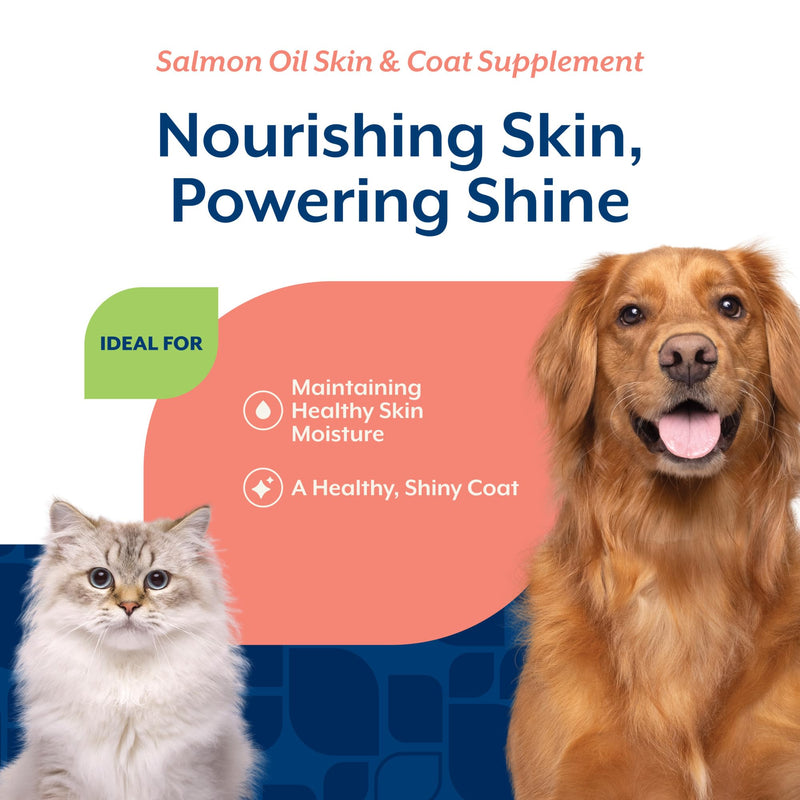 NaturVet – Salmon Oil Skin & Coat Plus Omegas – Supports Healthy Skin & Glossy Coat – Source of Omega-3 & 6 Fatty Acids – for Dogs & Cats (8.75 oz Oil) 8.75 fl oz