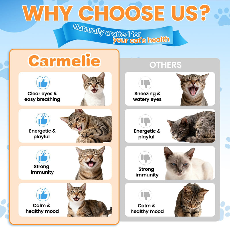 Cat Hairball Support Chews – 500 Hairball Treats L-Lysine Supplement for Cats - Immune & Respiratory Support