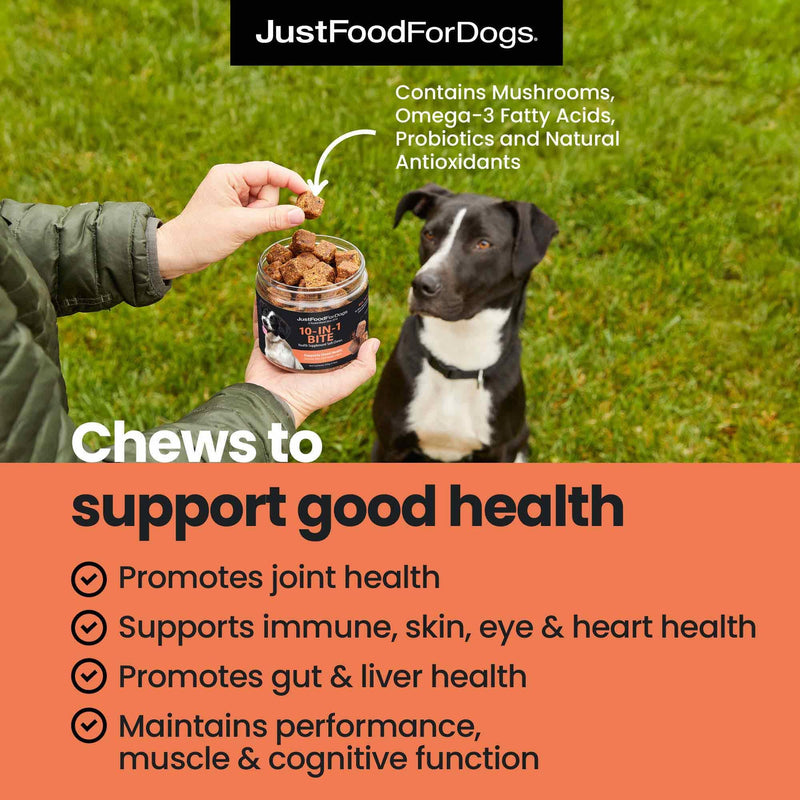 JustFoodForDogs 10-in-1 Supplement for Dogs, Human Grade Dog Supplements, Multivitamin Soft Chews, Immune, Skin and Joint Support, Omega 3 Oil, Superfood Blend, Plant Based Dog Vitamins - 45 Count 10-in-1 Bite