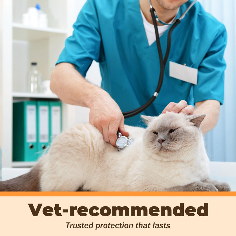 Dewormer for Cats & Dogs – Fenbendazole Liquid 10% – Removes Tapeworms, Roundworms, Hookworms & Whipworms Broad-Spectrum– 150ml Easy-to-Use