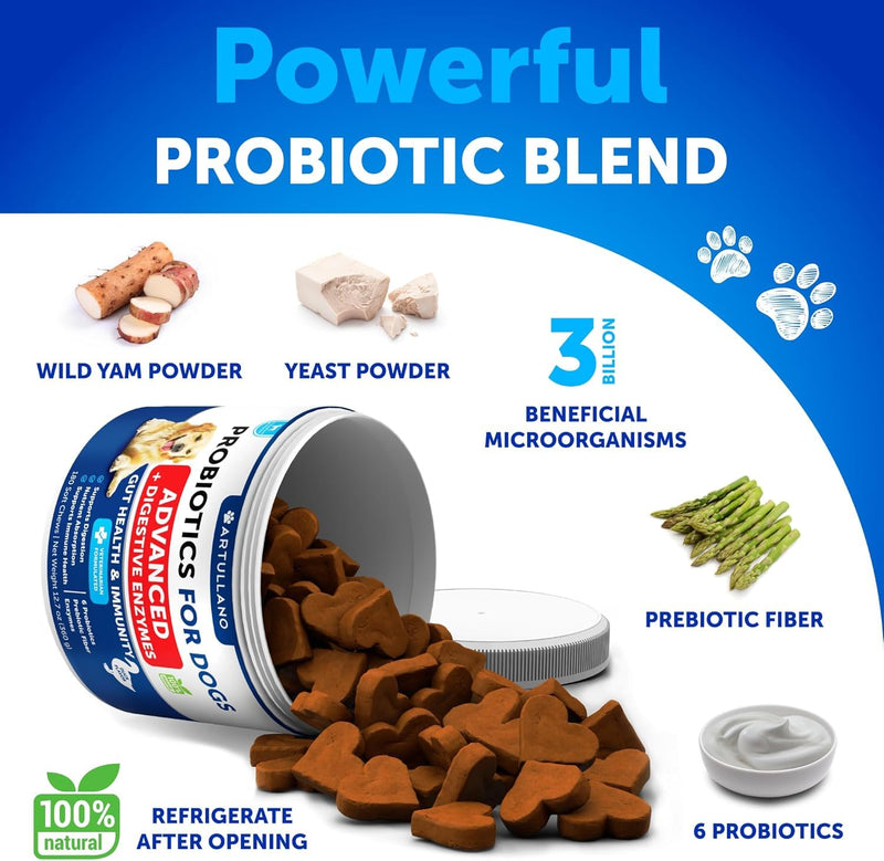 All Dog Breeds Probiotics Chews - Immunity & Gut Health - Digestive Enzymes - Nutrient Absorption - PawsPlanet Australia