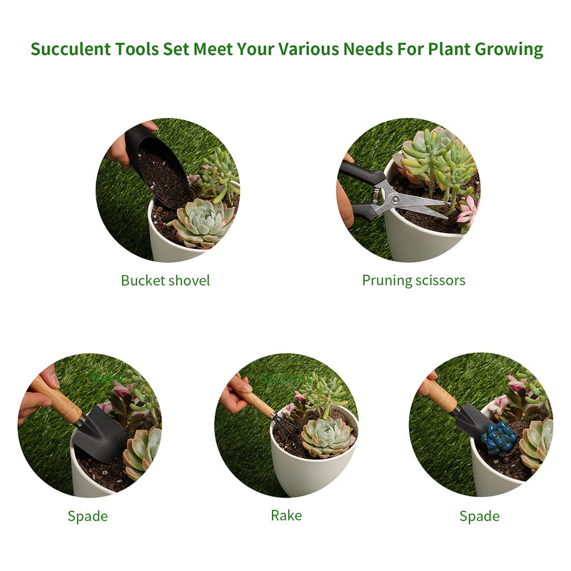 5Pcs Succulent Tools,Mini Garden Tools,Pruning Scissors as Plant Accessories, Gardending Hand Tools Kit for Seedling Soil,Caring Succulent,Houseplent,Bonsi,Gifts for Woman and Man Luxury Garden Tools