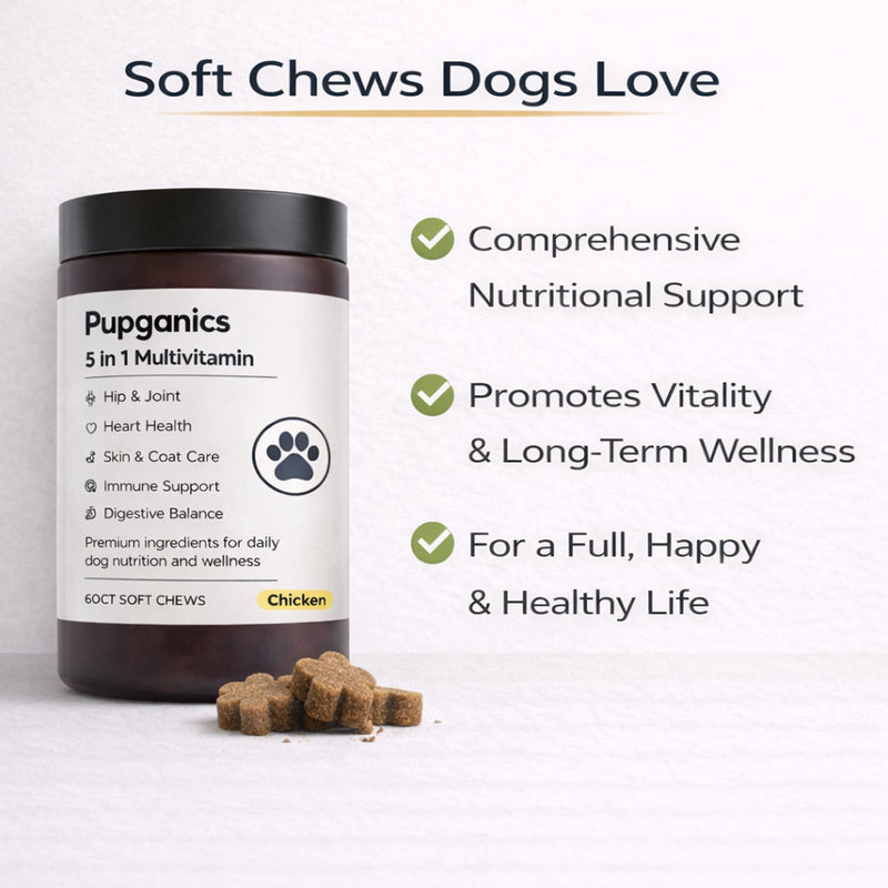 Pupganics Multivitamin Soft Chews for Dog, Dog Vitamins and Supplements for Immune System, Joint Support, Skin, Gut Health, with Probiotics, Glucosamine, Vitamin A/D3/E, Chicken Flavor, 60 Count (1) 1