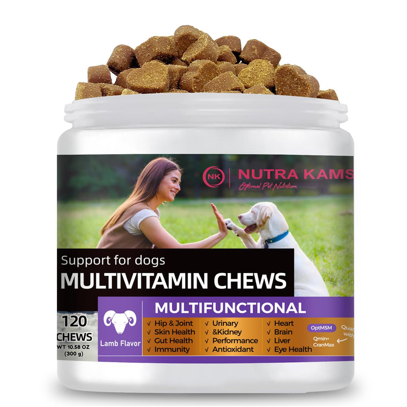Multivitamin Chews for Dogs, 120 Chews | Supports Growth, Hip & Joint, Skin and Gut Health, Immunity, Urinary and Kidney, Heart, Brain, Liver, Eyes, Antioxidants