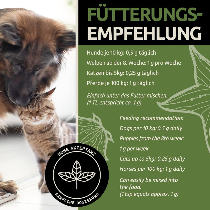 GreenPet green-lipped mussel for dogs and cats 100g - natural green-lipped mussel powder to support joint function, green-lipped mussel for dogs and cats, high acceptance - PawsPlanet Australia