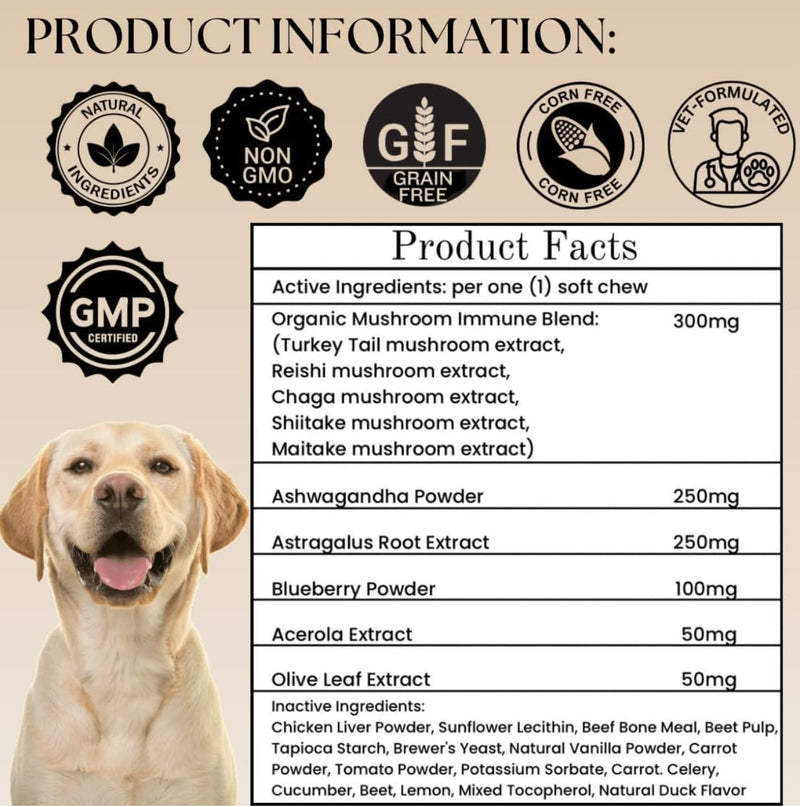 Advanced Liver Support & Turkey Tail Mushroom Chews for Dogs – Milk Thistle, Same, Turmeric & Organic Mushroom Blend – Immune, Liver, Kidney, Gut & Joint Health Support – 90 + 90 Chews