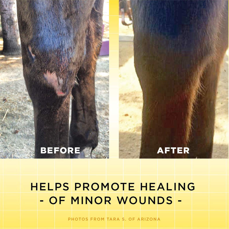 Corona Ointment for Horses | Lanolin-Based Formula Helps Sooth Irritation 198 g - PawsPlanet Australia