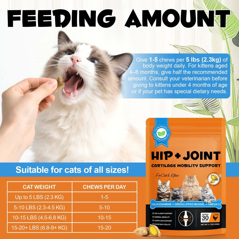 Hip & Joint Bites for Cats - Chicken Flavored Glucosamine Joint Supplement for Cats - Cat Joint Supplement for HIPS & Joints, Cat Arthritis Pain Relief, with Green Lipped Mussel, 3.7 oz 1 pack 100g