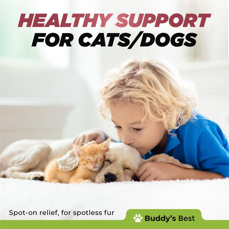 BUDDY'S BEST Ringworm Relief Spot-On Treatment for Dogs & Cats: Natural, Fast-Acting Formula with Jojoba & Neem Oil, Soothes & Heals Skin, Easy Application, 50ml - PawsPlanet Australia