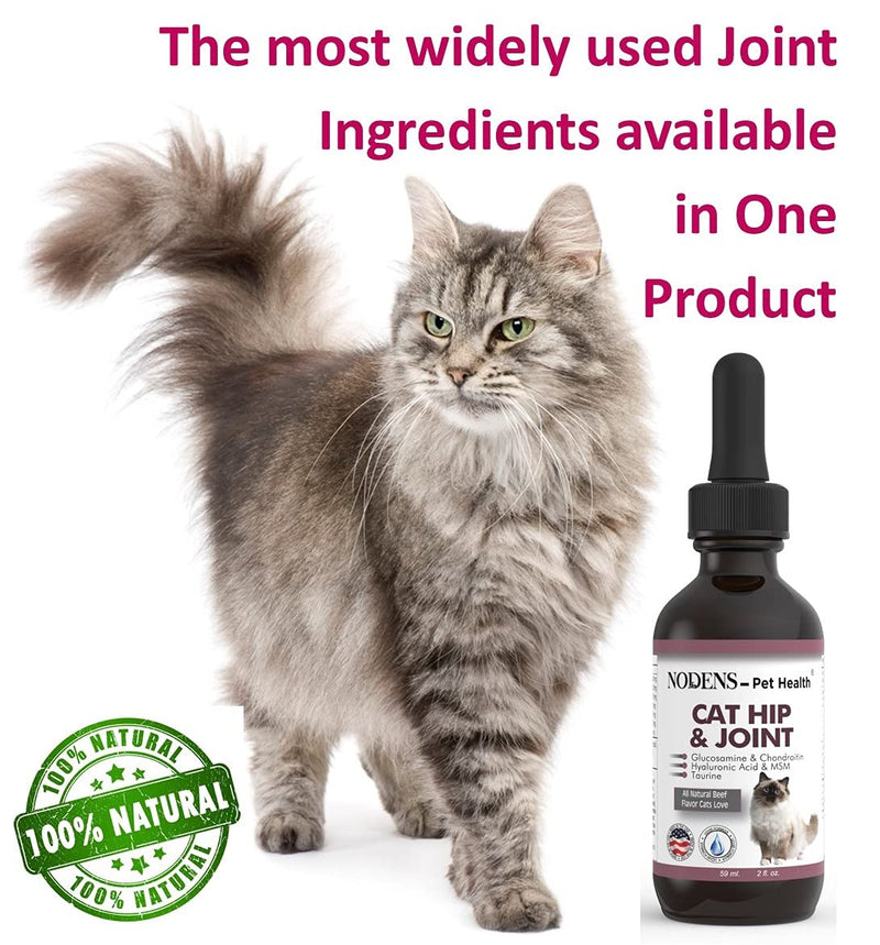 NODENS CAT Hip and Joint Glucosamine for Cats with Chondroitin and Opti-MSM® Hyaluronic Acid for Improved Joint Flexibility and Pain Relief from Inflammation and Cat Arthritis 2 floz - PawsPlanet Australia