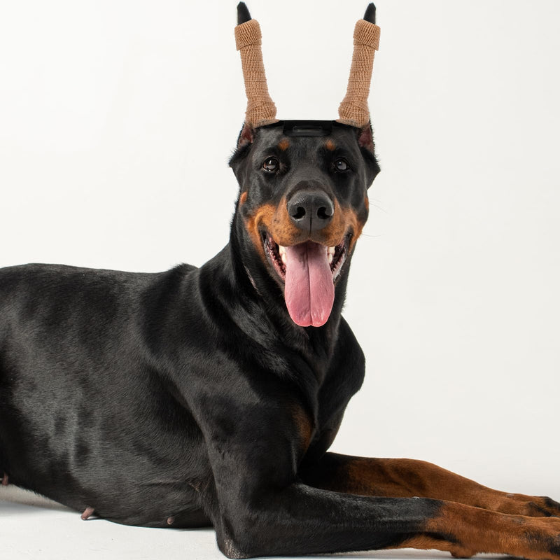 1Set Dog Ear Stand Up Support Tool for Puppies Includes Ear Support Tape Vertical Holder for Dog Ears for Doberman and Breeds Pet Ear Care Supply - PawsPlanet Australia