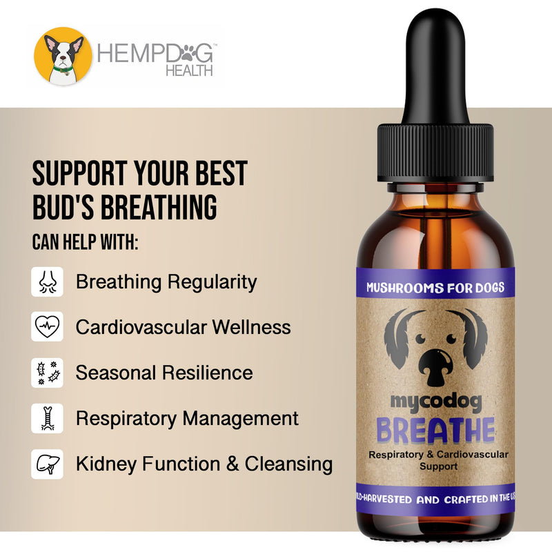 MycoDog Breathe - Respiratory Support Supplement for Dogs - Breathing Comfort & Airway Health - French Bulldogs, Pugs, & Flat-Faced Breeds - Natural Mushroom and Ashwagandha Drops - 1 oz