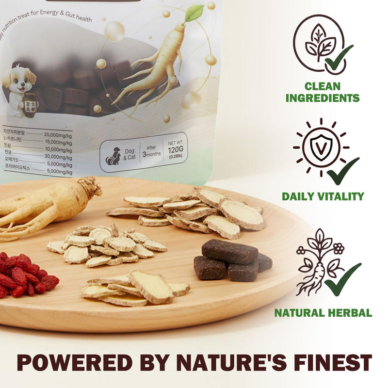 Lovnheal Dog Digestive Support Soft Chews - Made in Korea K-Pet Food, Vitality & Gut Health, Human Grade Natural Ingredients, Odor Control, Kibble Topper for Picky Eaters, 4.2 oz