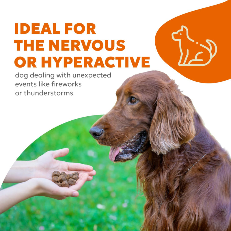 Canine Calm Soft Chews | Calming Treats for Dog Anxiety, Firework Relief for Dogs, for Managing Stress and Relaxing | 60 Chews (180g, 6.35 oz.) - PawsPlanet Australia