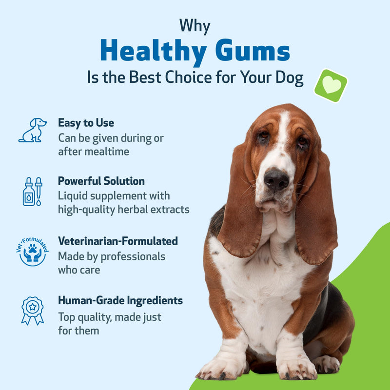Pet Wellbeing Healthy Gums for Dogs - Topical Drops for Oral Care, Dental Health & Fresh Breath - NASC Certified & Vet-Formulated - 4 oz Liquid 4 fl oz (118 ml)