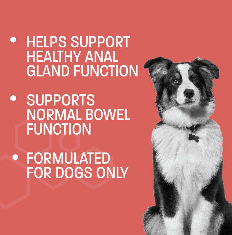 Scoot Stop-Pro Soft Chews for Dogs - Anal Gland Support - Dog Fiber for Dogs Pumpkin for Dogs Digestion - Supports Healthy Anal Sac - No Scoot Constipation Relief for Dogs - 120 ct