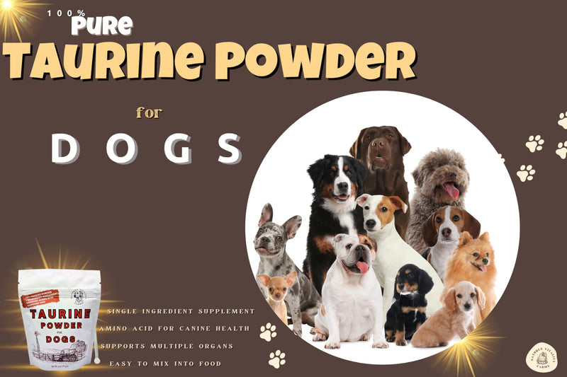 Taurine for Dogs - Taurine Powder Supplement, 144 Servings, 500mg, Heart, Brain, Eyes, Muscle, Energy, and Growth, (6oz)