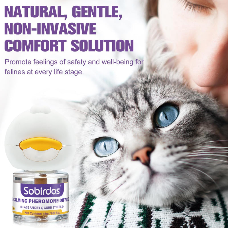 6-in-1 Cat Pheromone Calming Diffuser Kit - Relieve Anxiety, Reduce Fights/Scratching, 2 Plugs + 4 Refills, 120 Days (Purple, L) Purple