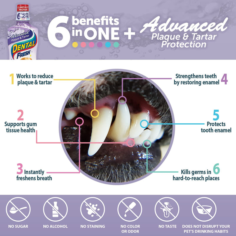 Dental Fresh Advanced Plaque and Tartar Water Additive for Dogs, 8 oz – Dog Teeth Cleaning Formula Targets Plaque & Tartar Build-Up, Eliminates Bad Breath, Whitens Teeth, Improves Overall Oral Health 8 Ounce - PawsPlanet Australia